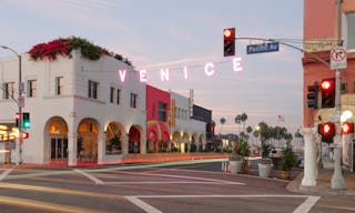 Brand Activation under Venice Sign - Image 2