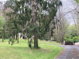 Propri�t� de charme en P�rigord - Image 2