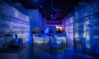 Multimedia Pop-Up/Event Space on Broadway - Image 2