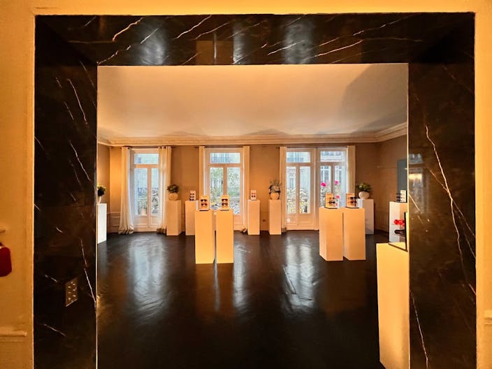 Showroom in Sublime Triangle d'Or - Image 1