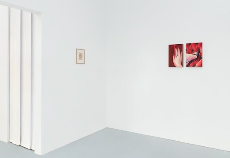 Coulisse Gallery - Image 3