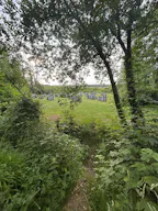 Décor/Lieu de tournage: Forêt Privée - Image 4