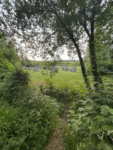 Décor/Lieu de tournage: Forêt Privée - Image 4