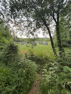 D�cor/Lieu de tournage: For�t Priv�e - Image 4