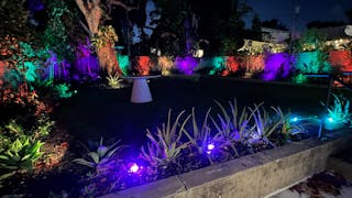 Beautifully Landscaped Backyard at Luxurious MedSpa - Design District - WiFi and Built-in Sound System - Image 2