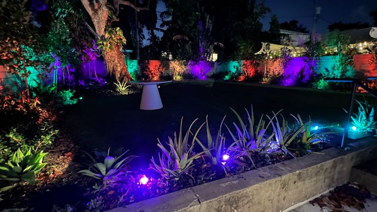 Beautifully Landscaped Backyard at Luxurious MedSpa - Design District - WiFi and Built-in Sound System - Image 2