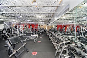 High End, State of The Art Fitness Facility (Gym) in Hot East Fort Lauderdale Location - Image 6