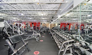 High End, State of The Art Fitness Facility (Gym) in Hot East Fort Lauderdale Location - Image 6
