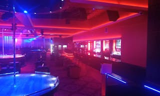 Chic Exotic Lounge - Image 5