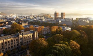 Oslo pop up space - Image 2