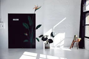 Bright day light Studio - Image 2