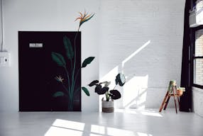 Bright day light Studio - Image 2