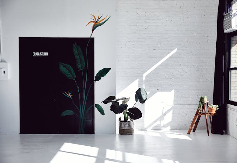 Bright day light Studio - Image 2