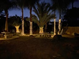 Vintage Train Car in Rustic Setting - Image 6