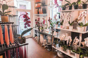 Pop-Up Store in Bustling Le Marais - Image 2