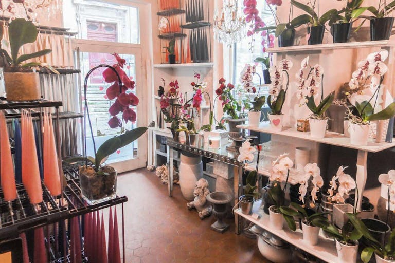 Pop-Up Store in Bustling Le Marais - Image 2