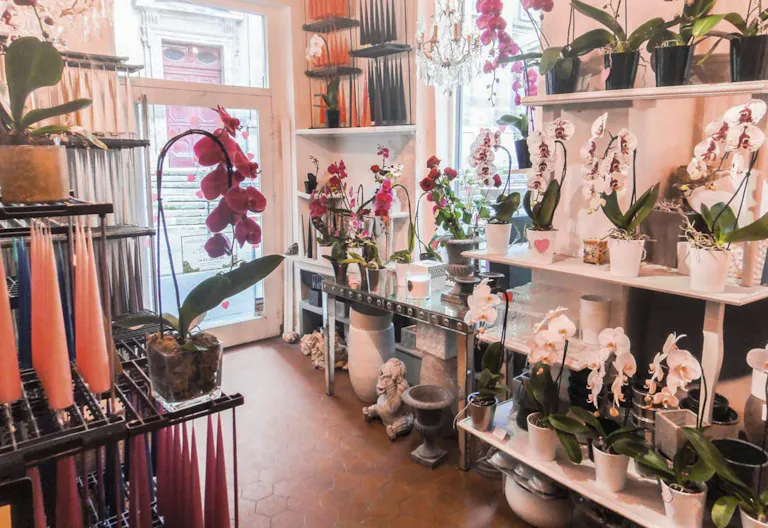 Pop-Up Store in Bustling Le Marais - Image 2