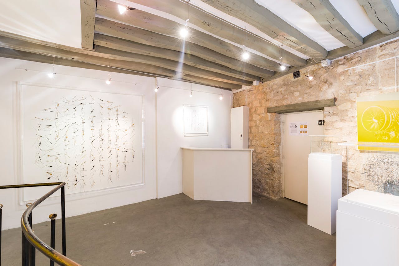 Pop-Up Gallery Near Mabillon - Image 1