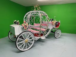 Vibrant Photo Studio in West Vegas - Image 13