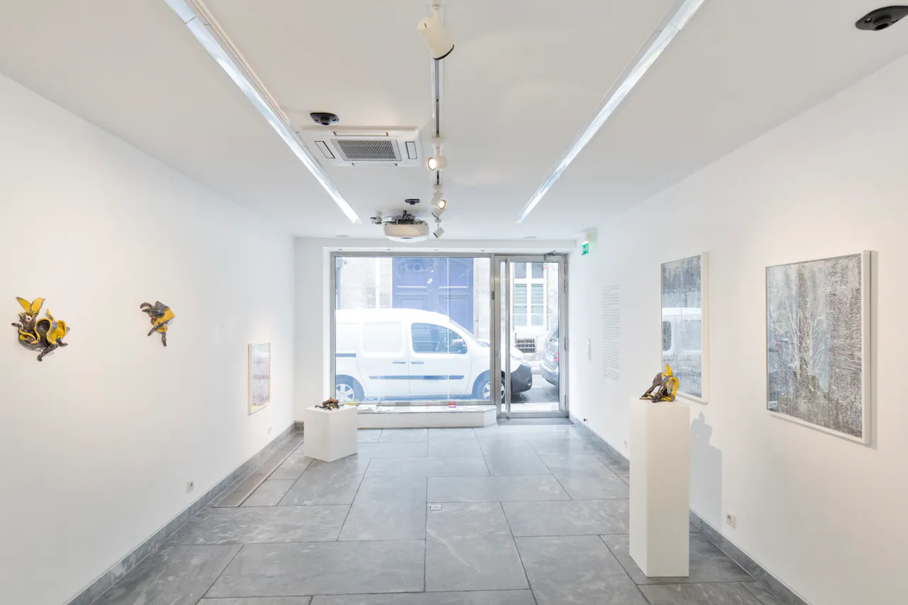 Beautiful Gallery in Haut Marais - Image 0