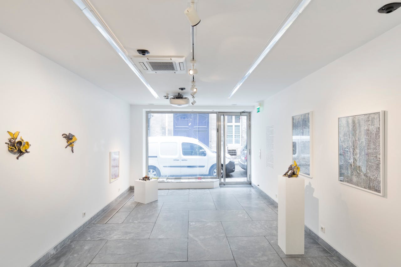 Beautiful Gallery in Haut Marais - Image 0