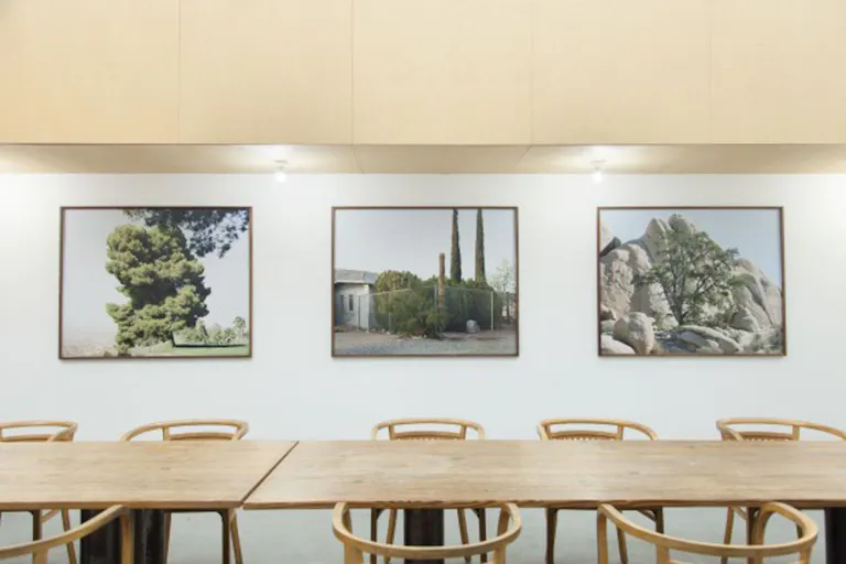 Gallery in Westelijke Eilanden - Image 2