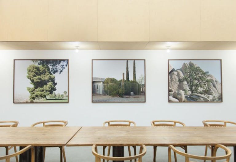 Gallery in Westelijke Eilanden - Image 2