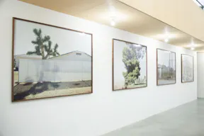 Gallery in Westelijke Eilanden - Image 5