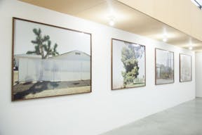 Gallery in Westelijke Eilanden - Image 5