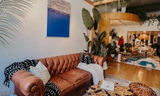 Plant-filled Community Space in the Marina District - Image 2