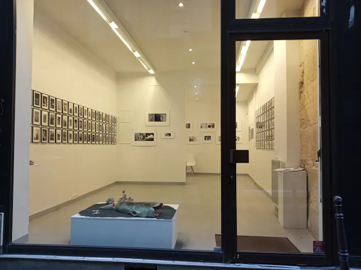 Le Marais Gallery Showroom - Image 1