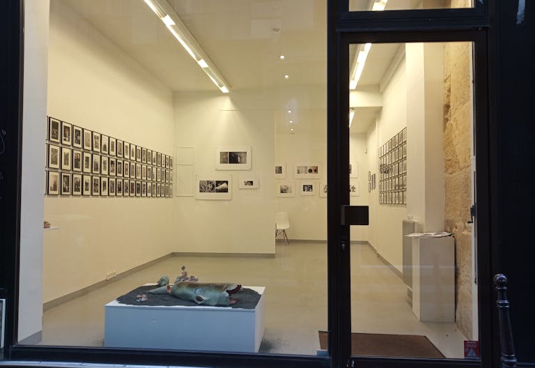Le Marais Gallery Showroom - Image 1