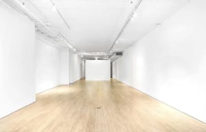 Unique Ground Floor Loft in Manhattan - Image 1