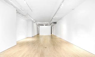 Unique Ground Floor Loft in Manhattan - Image 1