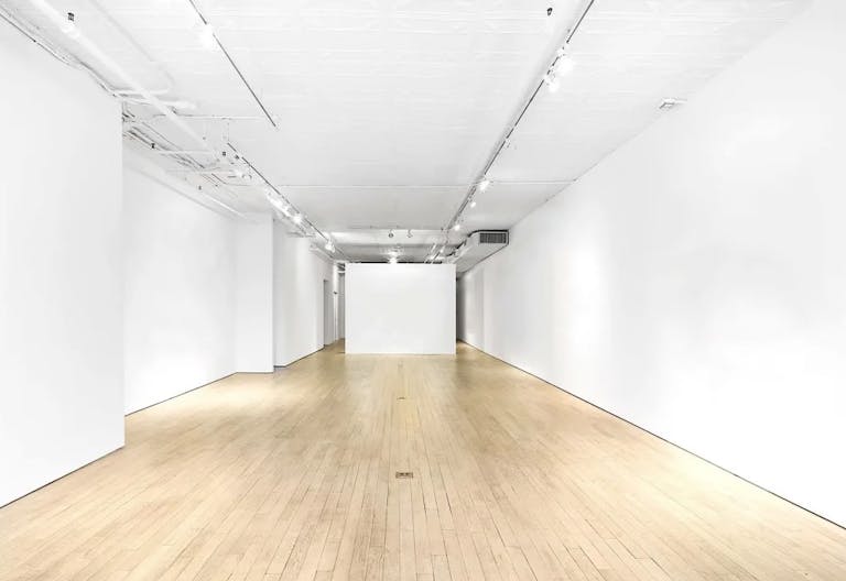 Unique Ground Floor Loft in Manhattan - Image 1