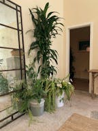 Design-Forward Bar, Lounge, Office & Kitchen in Former Masonic Lodge - Image 5