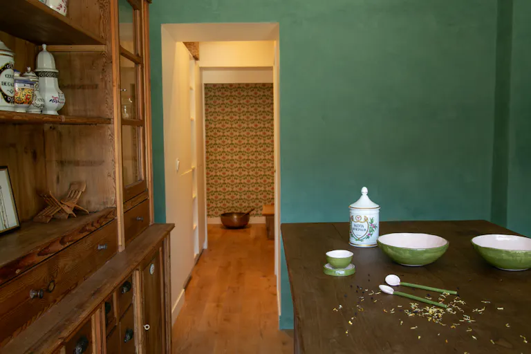 Studio végétal pour expériences beauté et bien-être immersives - Image 2