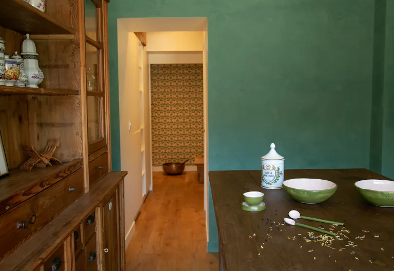 Studio végétal pour expériences beauté et bien-être immersives - Image 2