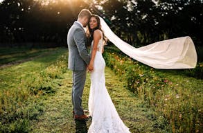Stunning Flower Fields with Florida Wildflowers - Image 8