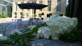 Premium Hotel Space near The Sorbonne - Image 1