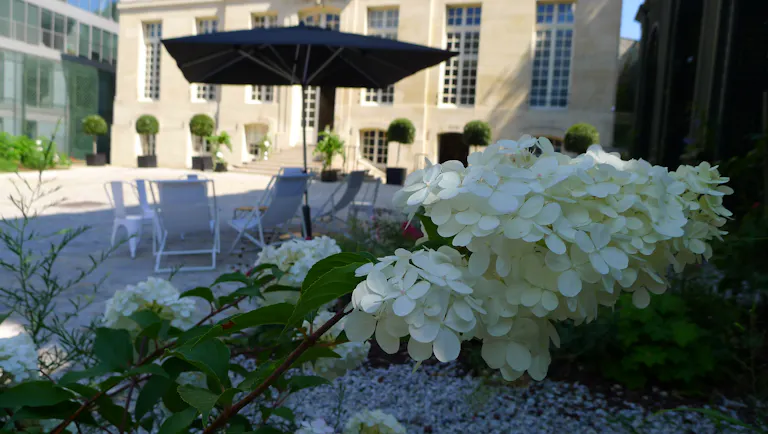 Premium Hotel Space near The Sorbonne - Image 1