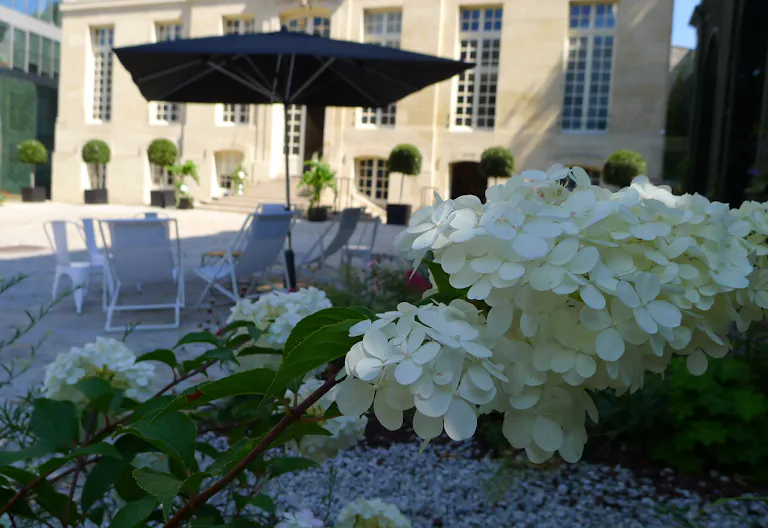 Premium Hotel Space near The Sorbonne - Image 1