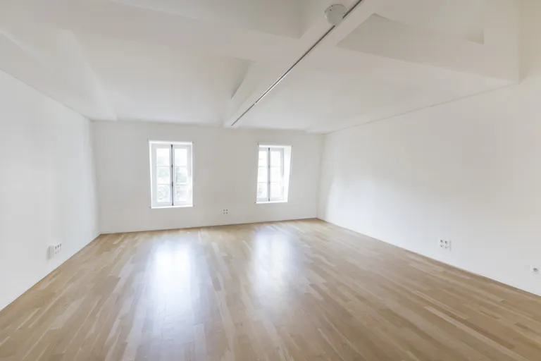 Gorgeous Gallery near Miromesnil - Image 4