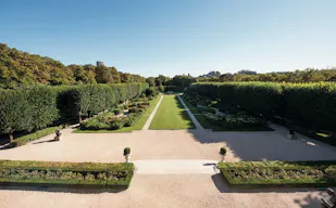 Greenery in the Heart of Paris - Image 0