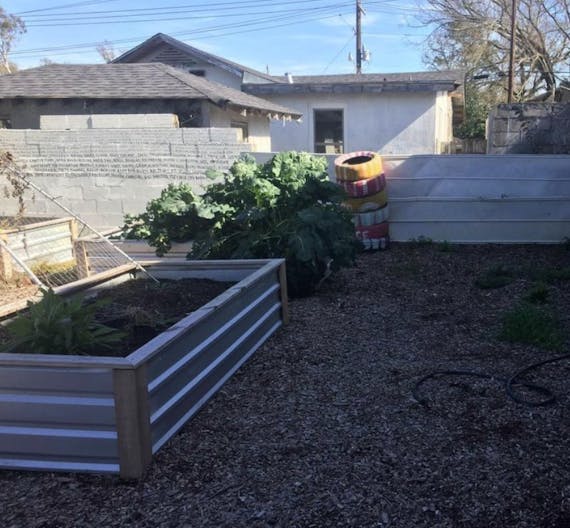 WONDERGROUND - Image 3