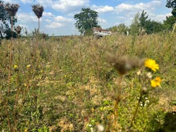 D�cor/Lieu de tournage: Prairie - Image 4