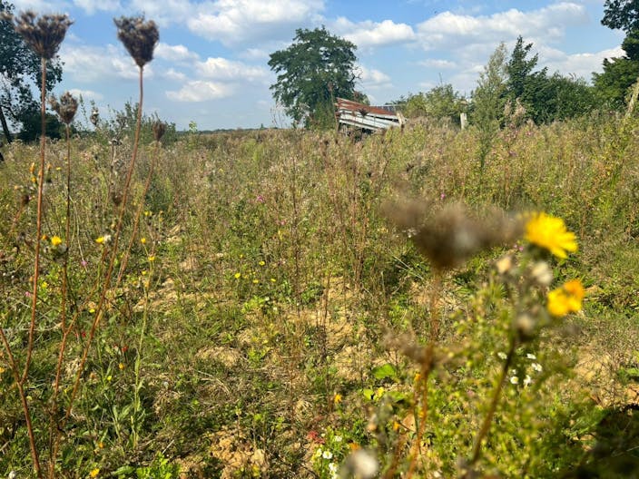 D�cor/Lieu de tournage: Prairie - Image 4