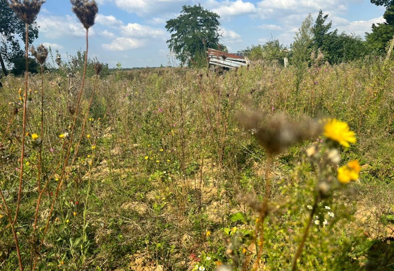 D�cor/Lieu de tournage: Prairie - Image 4