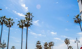 Venice Beach Turnkey Event Venue - Image 4
