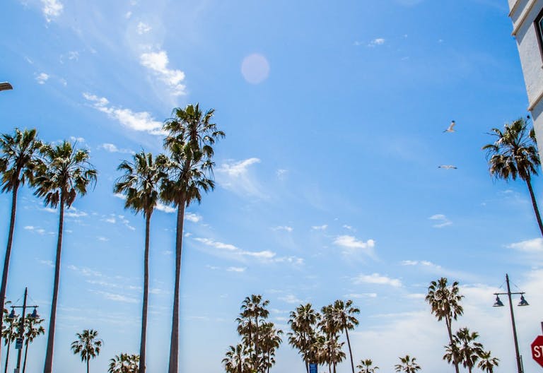 Venice Beach Turnkey Event Venue - Image 4